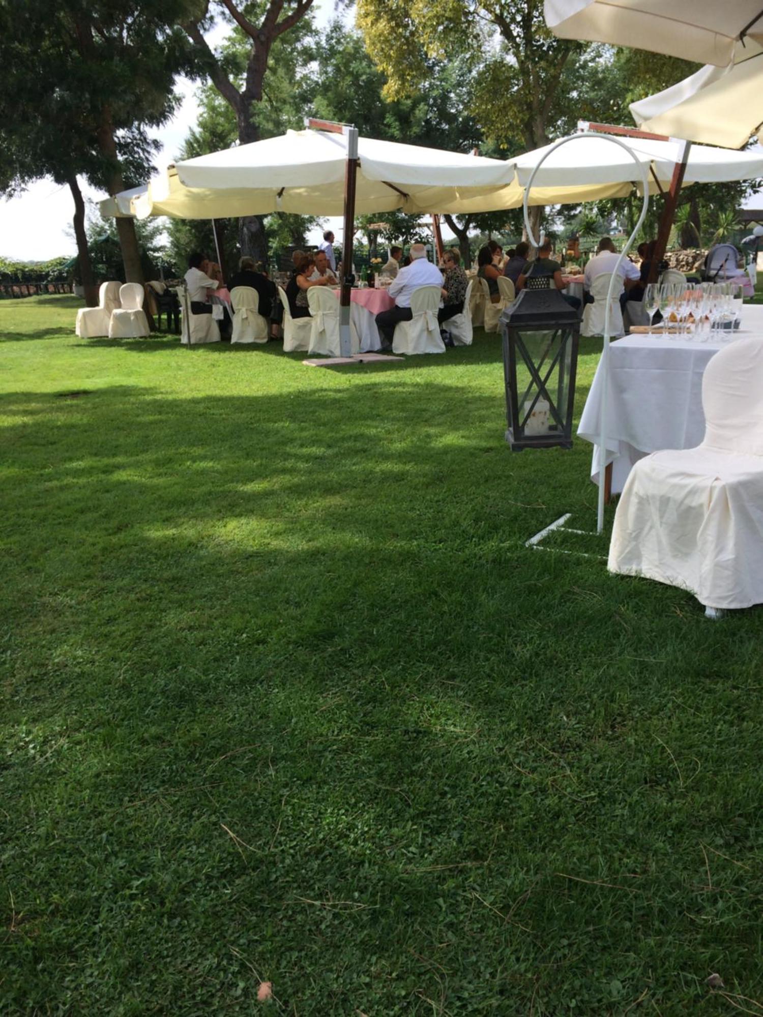 Agriturismo Ali E Radici Cisterna di Latina Exteriör bild
